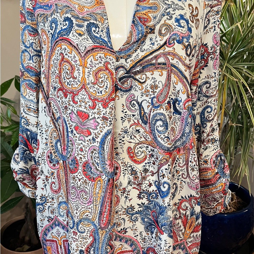 Zara Multicolor Paisley Dress